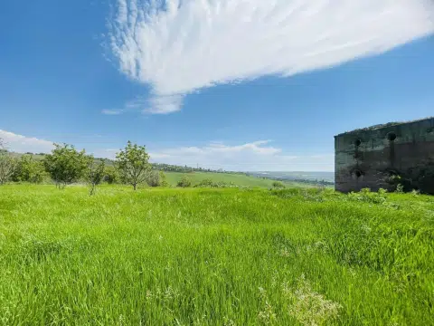 Orhei, Pelivan.