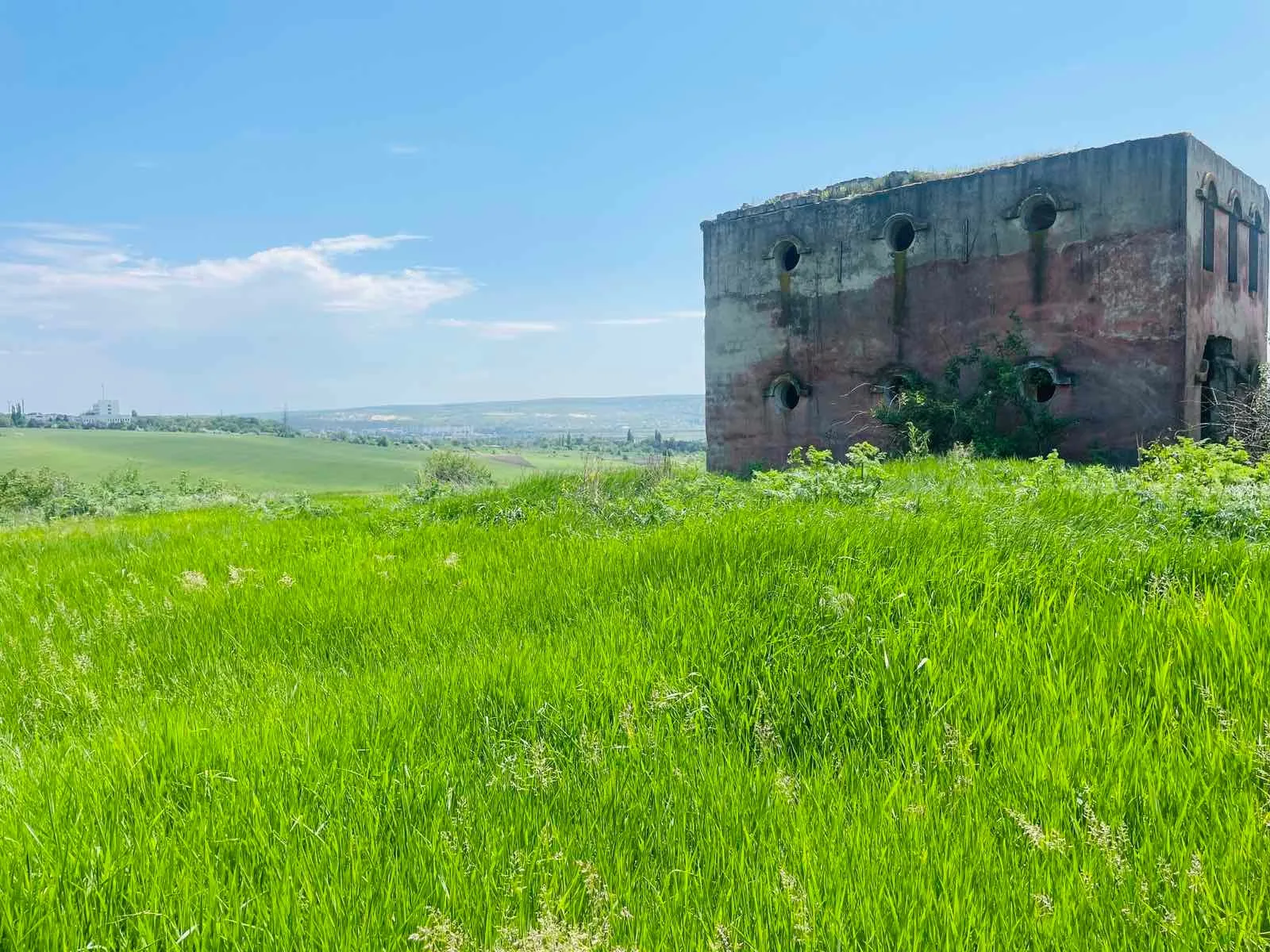 Teren 4,87 Ha în Pelivan, Orhei. 4