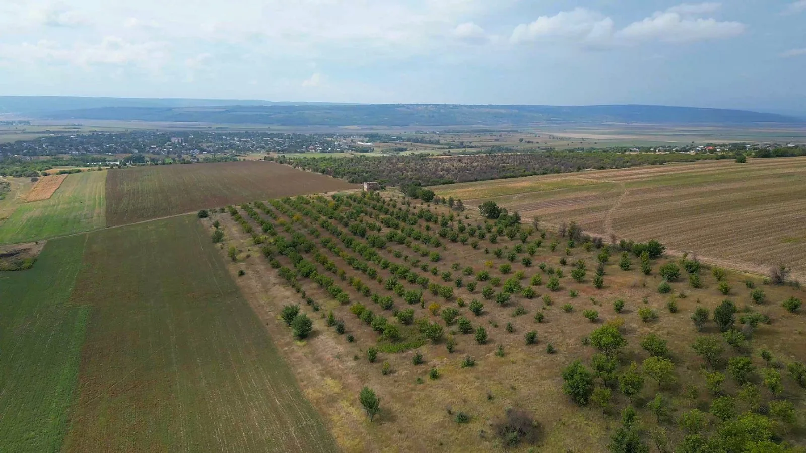 Teren 4,87 Ha în Pelivan, Orhei. 5