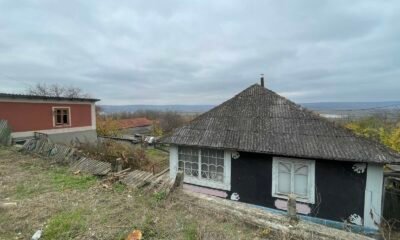 0-02-05-667c26d870c9ba626a3ae03a89c5c1336a146ab6607cd12c42e95c614bbc6fc5_9964240f0faf493f