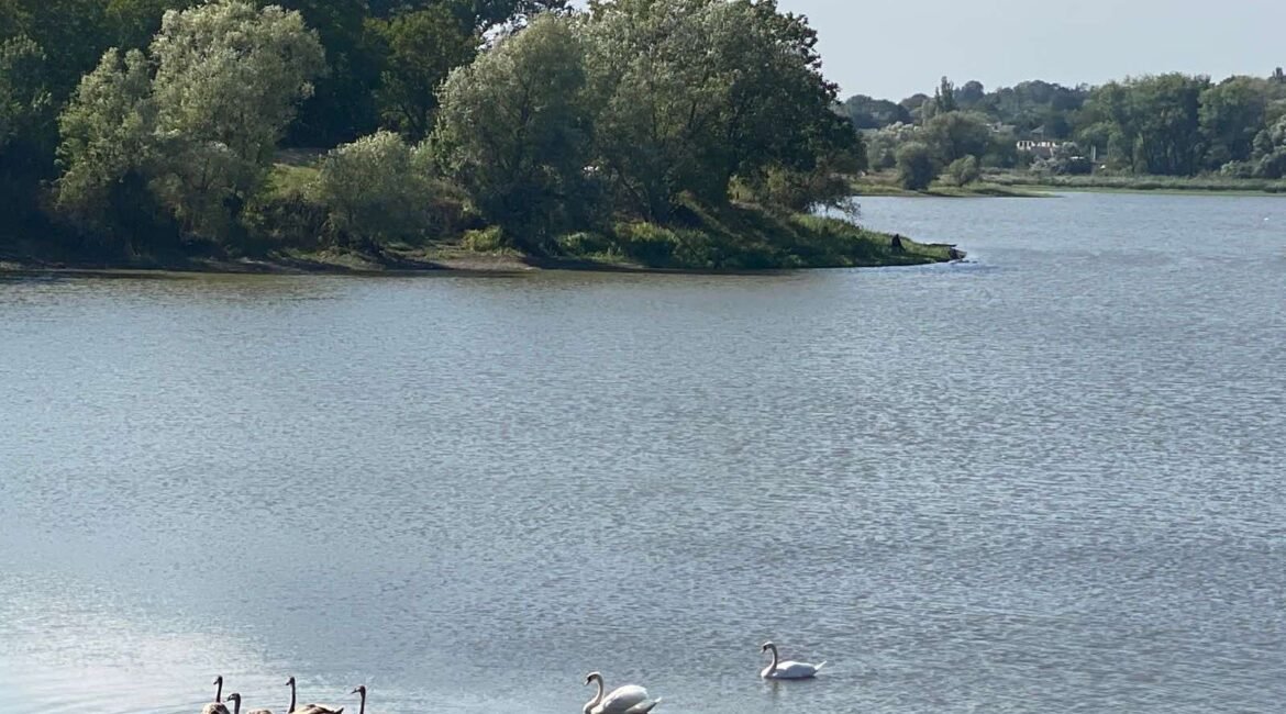 Casă de vacanță – Ivancea, lângă iaz!