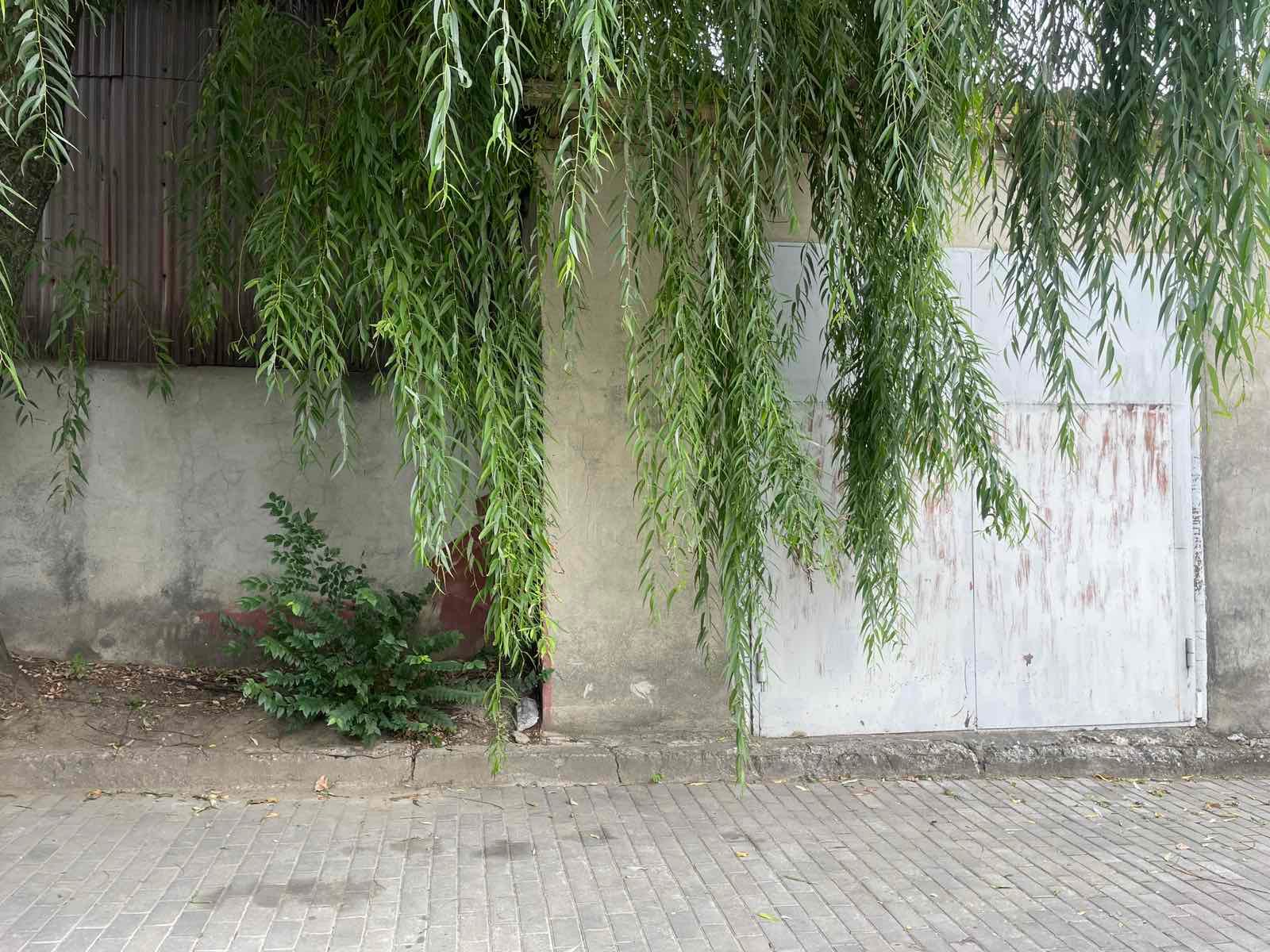 555349912_1414118947383554_5928255404508462423_n