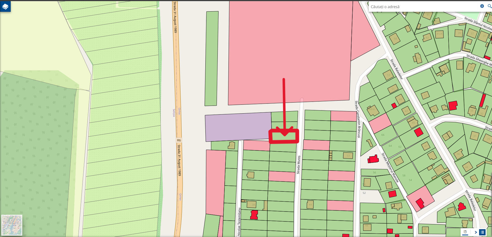 Captura-de-ecran-2026-02-12-153630